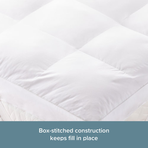 The Twillery Co.® 3" Down Alternative Mattress Topper & Reviews Wayfair
